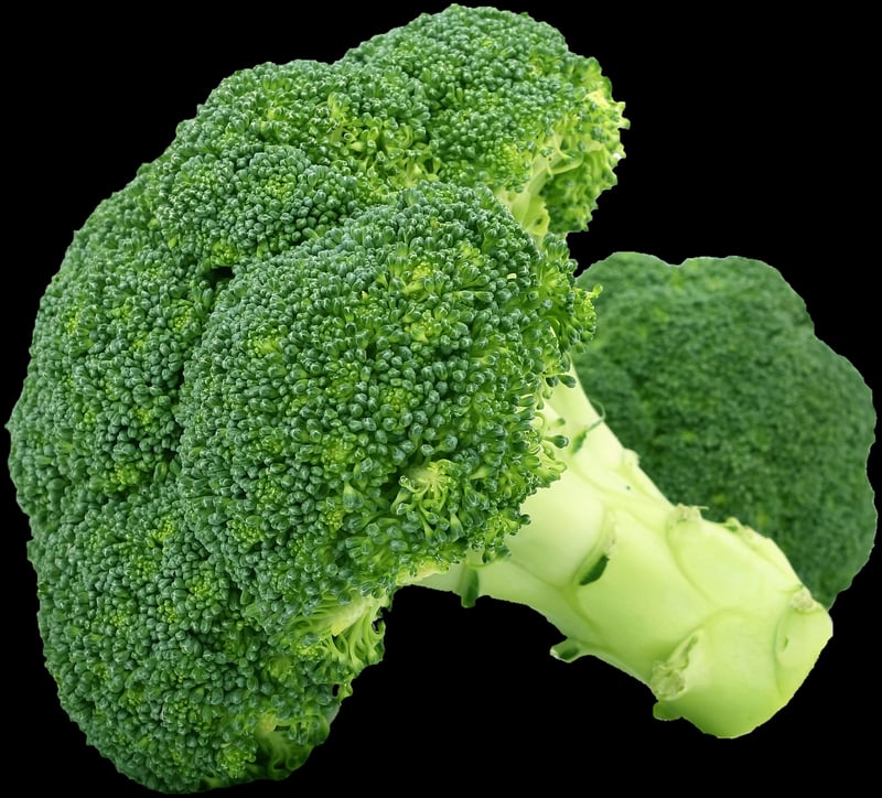 Sustainability and Locally Sourced Ingredients